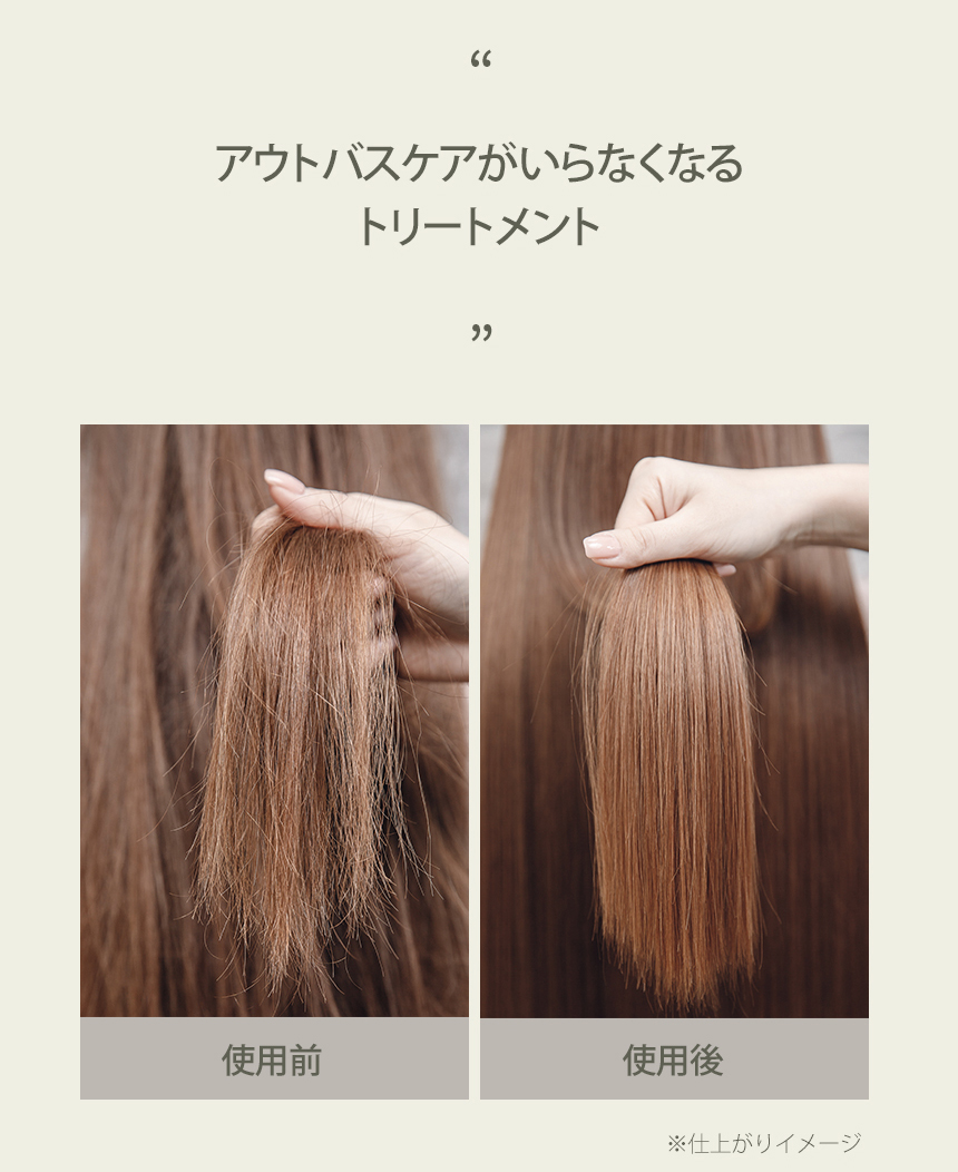 nesh ソイ プロテイン トリートメント 250ml 【 ダメージケア 】 / インバス ヘアトリートメント  の画像