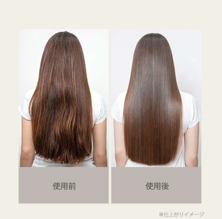 nesh ソイ プロテイン トリートメント 250ml 【 ダメージケア 】 / インバス ヘアトリートメント  の画像