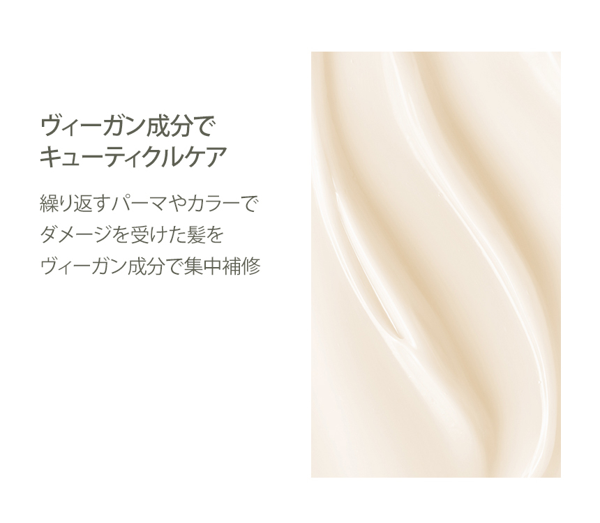 nesh ソイ プロテイン トリートメント 250ml 【 ダメージケア 】 / インバス ヘアトリートメント  の画像