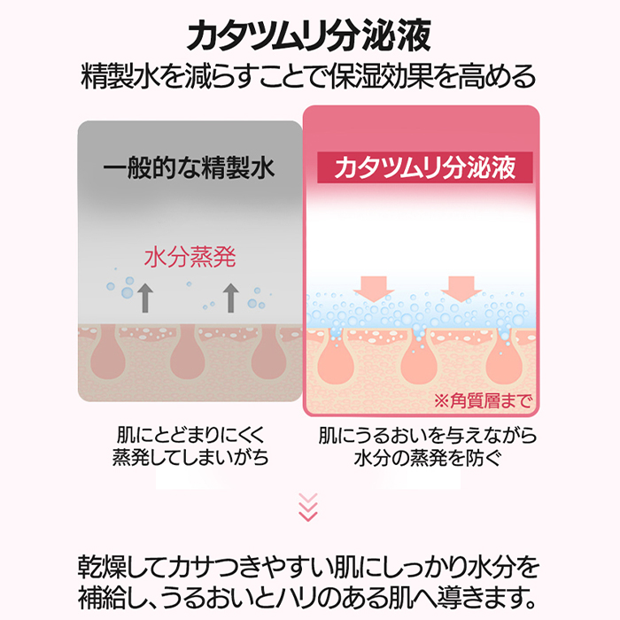 ジャミンギョン 【かたつむりクリーム】クレマ カラコル ピンク スネイル クリーム 50 ml  / カタツムリ セラミドＮＰ 乾燥 保湿 CREMA CARACOL PINK SNAIL CREAM の画像