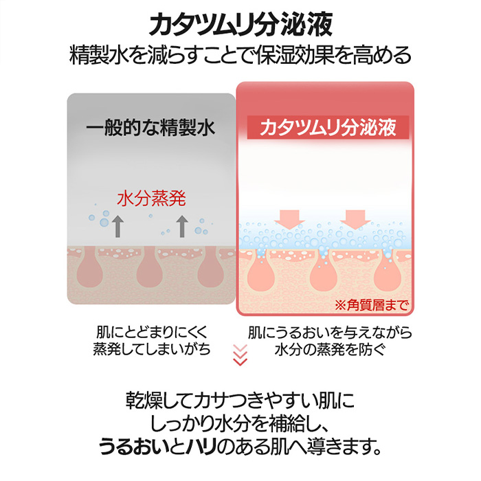 ジャミンギョン 【かたつむりクリーム】クレマ カラコル オリジナル スネイル クリーム 50ml / カタツムリ 乾燥 保湿 ジャミンギョン CREMA CARACOL ORIGINAL SNAIL CREAM の画像